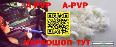герыч Кингисепп