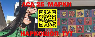 гашик Кимры