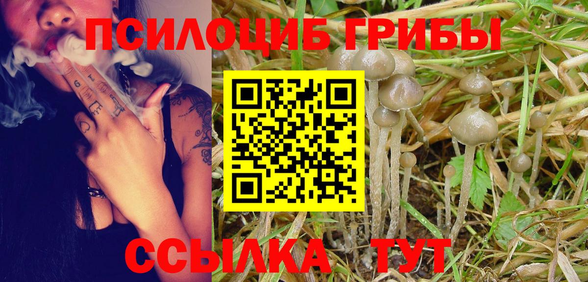Псилоцибиновые грибы GOLDEN TEACHER  Вход с VPN  Псилоцибиновые грибы MAGIC MUSHROOMS  Сухой Лог 