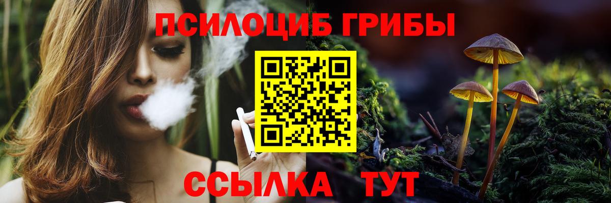 Галлюциногенные грибы Psilocybe Сухой Лог